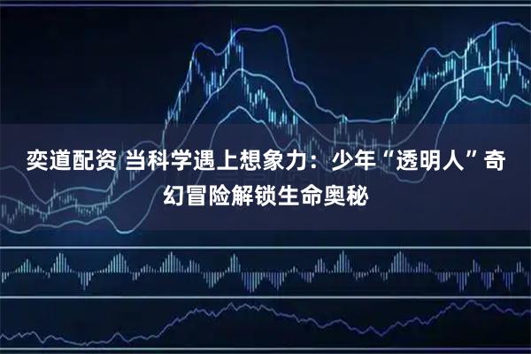 奕道配资 当科学遇上想象力：少年“透明人”奇幻冒险解锁生命奥秘