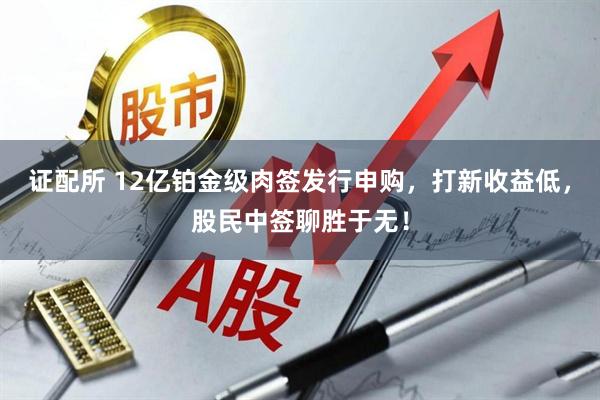 证配所 12亿铂金级肉签发行申购，打新收益低，股民中签聊胜于无！